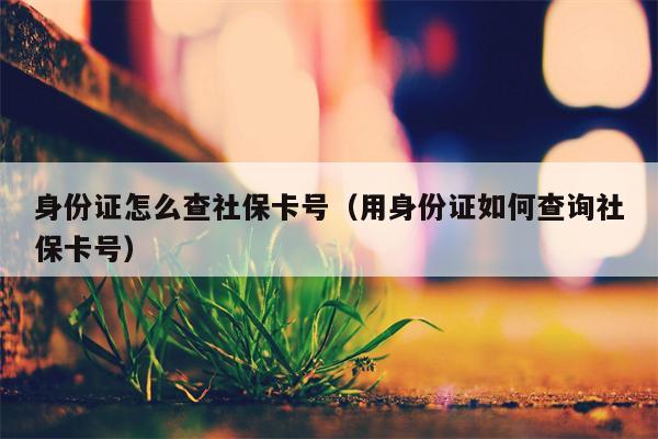 身份证怎么查社保卡号（用身份证如何查询社保卡号）