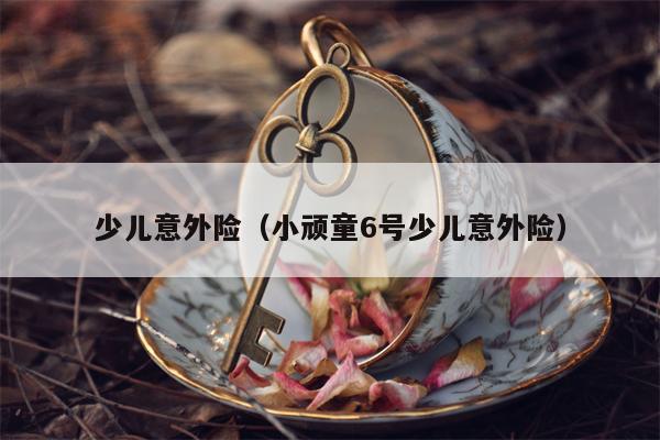 少儿意外险（小顽童6号少儿意外险）