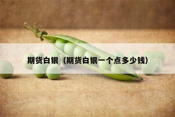 期货白银（期货白银一个点多少钱）