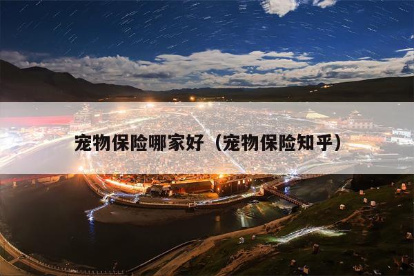 宠物保险哪家好（宠物保险知乎）