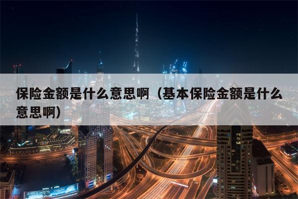 保险金额是什么意思啊（基本保险金额是什么意思啊）