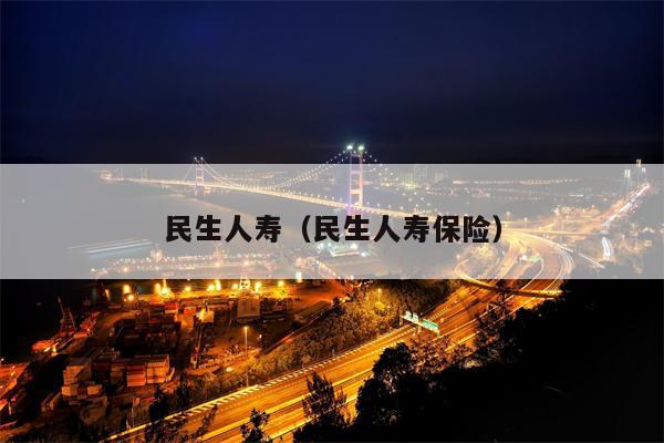 民生人寿（民生人寿保险）