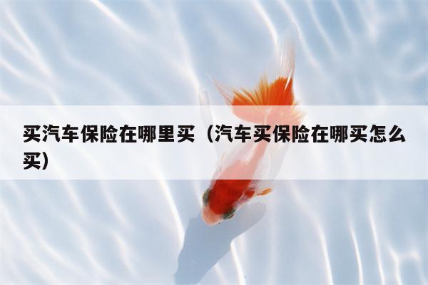 买汽车保险在哪里买（汽车买保险在哪买怎么买）