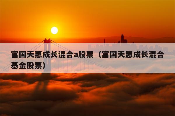 富国天惠成长混合a股票（富国天惠成长混合基金股票）