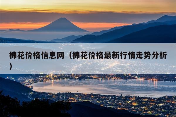棉花价格信息网（棉花价格最新行情走势分析）