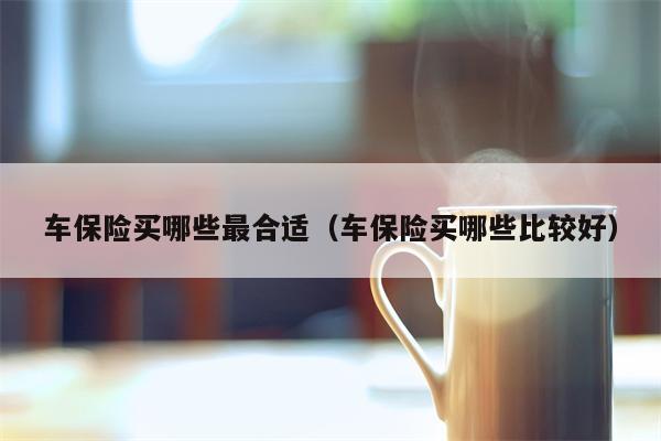 车保险买哪些最合适（车保险买哪些比较好）