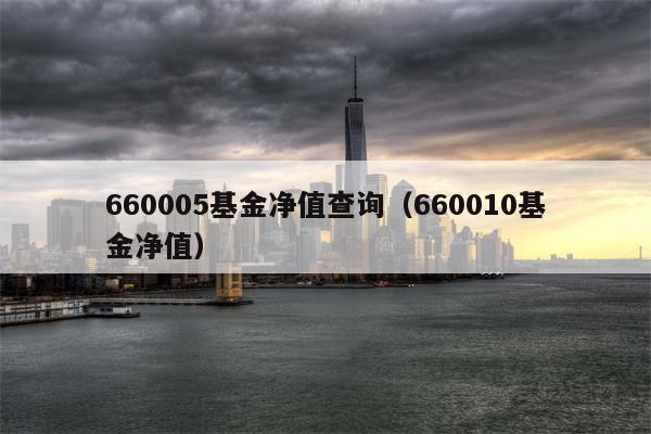 660005基金净值查询（660010基金净值）