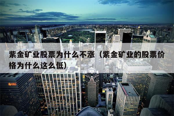 紫金矿业股票为什么不涨（紫金矿业的股票价格为什么这么低）