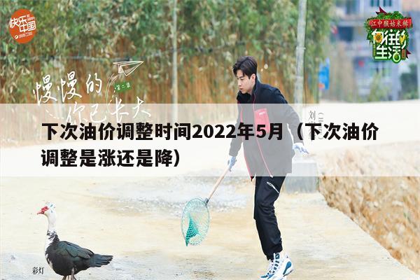 下次油价调整时间2022年5月（下次油价调整是涨还是降）