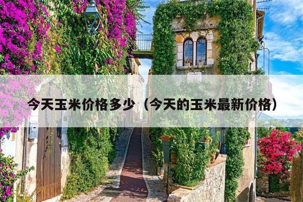 今天玉米价格多少（今天的玉米最新价格）