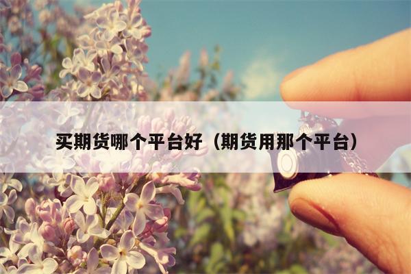 买期货哪个平台好（期货用那个平台）