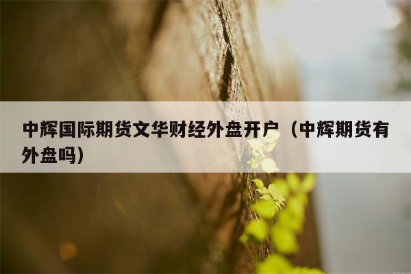 中辉国际期货文华财经外盘开户（中辉期货有外盘吗）