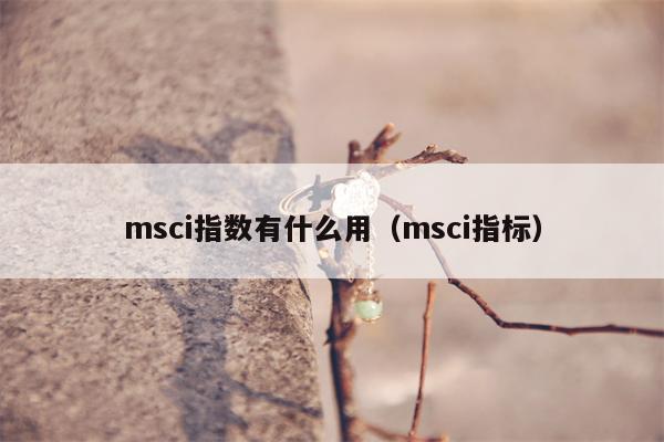 msci指数有什么用（msci指标）