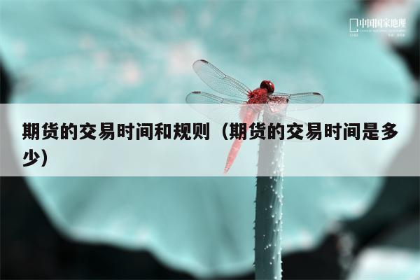 期货的交易时间和规则（期货的交易时间是多少）