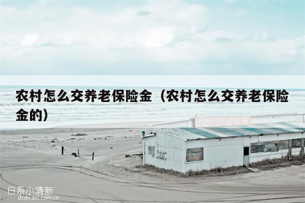 农村怎么交养老保险金（农村怎么交养老保险金的）