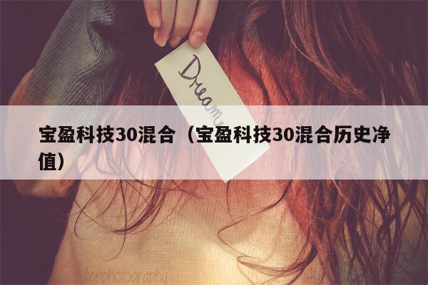 宝盈科技30混合（宝盈科技30混合历史净值）