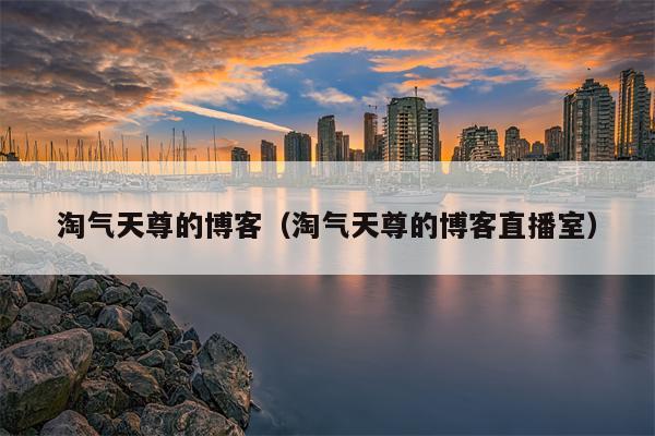 淘气天尊的博客（淘气天尊的博客直播室）