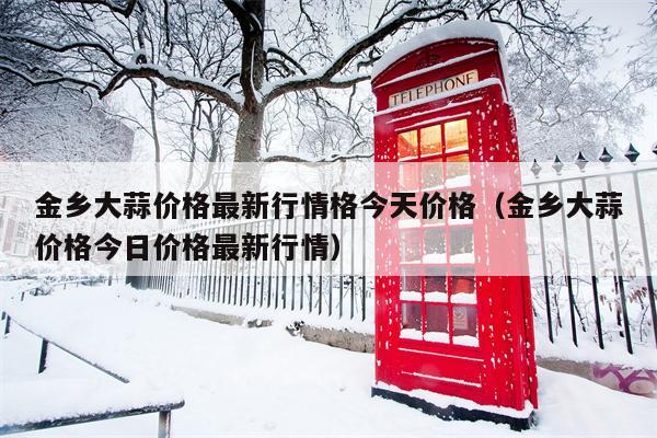 金乡大蒜价格最新行情格今天价格（金乡大蒜价格今日价格最新行情）