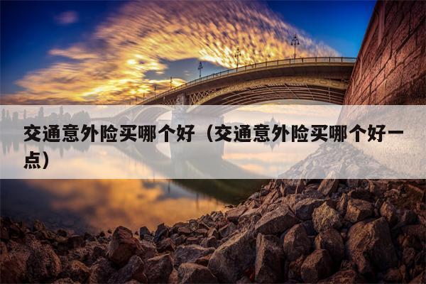 交通意外险买哪个好（交通意外险买哪个好一点）