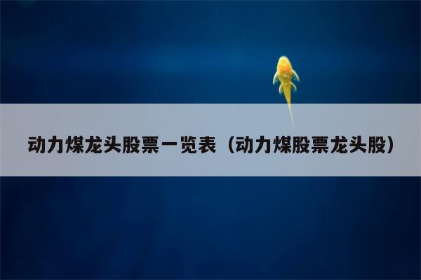动力煤龙头股票一览表（动力煤股票龙头股）