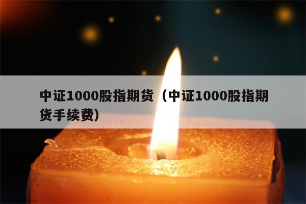 中证1000股指期货（中证1000股指期货手续费）