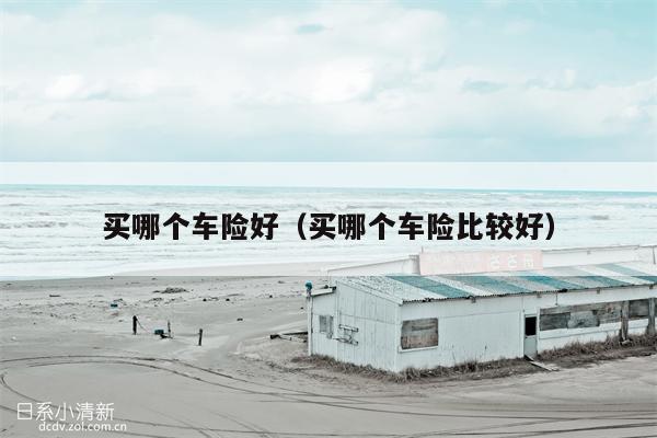 买哪个车险好（买哪个车险比较好）