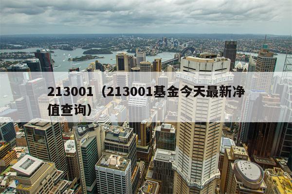 213001（213001基金今天最新净值查询）