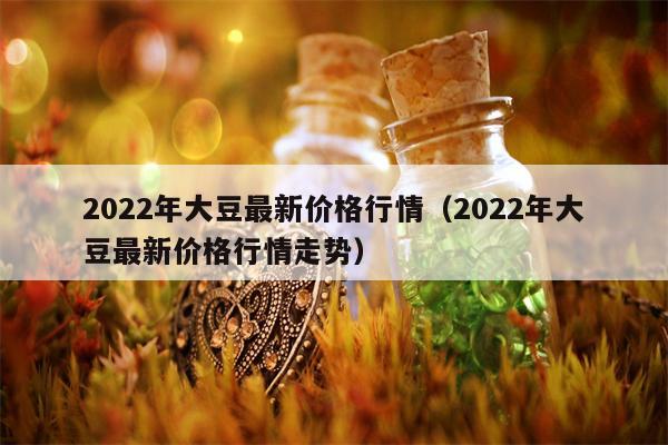 2022年大豆最新价格行情（2022年大豆最新价格行情走势）