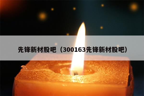 先锋新材股吧（300163先锋新材股吧）