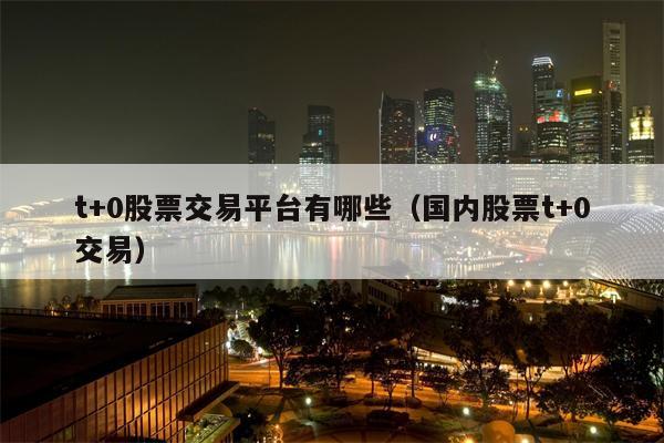 t+0股票交易平台有哪些（国内股票t+0交易）