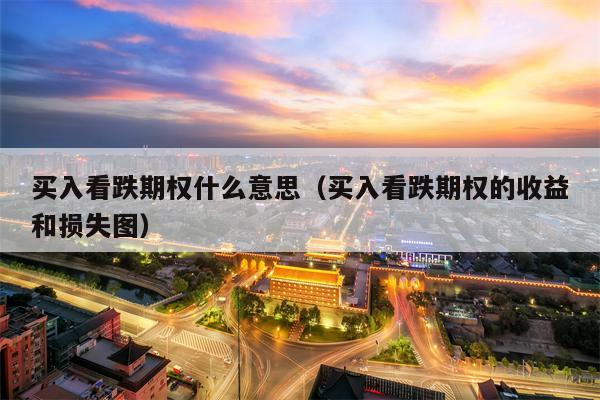 买入看跌期权什么意思（买入看跌期权的收益和损失图）