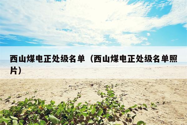西山煤电正处级名单（西山煤电正处级名单照片）