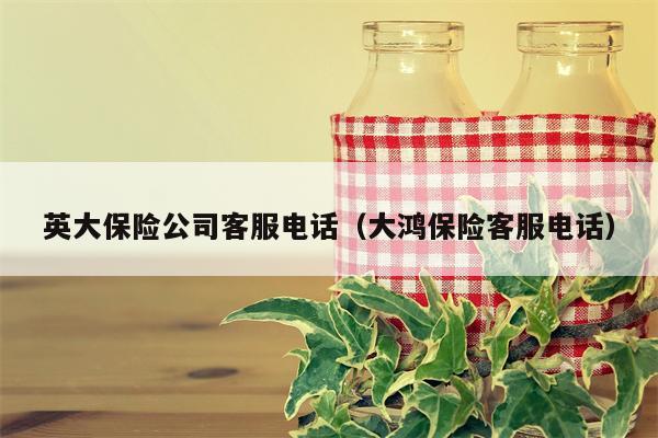 英大保险公司客服电话（大鸿保险客服电话）