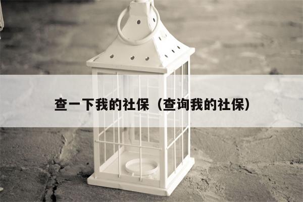 查一下我的社保（查询我的社保）