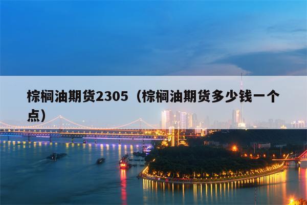 棕榈油期货2305（棕榈油期货多少钱一个点）