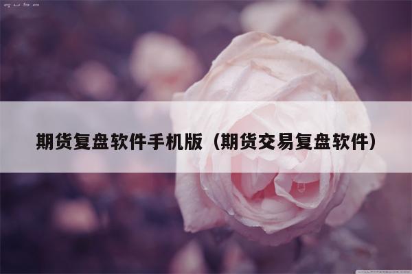 期货复盘软件手机版（期货交易复盘软件）