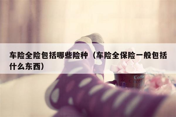 车险全险包括哪些险种（车险全保险一般包括什么东西）