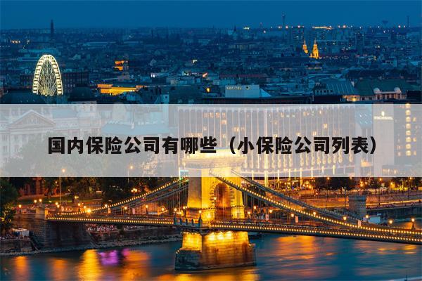 国内保险公司有哪些（小保险公司列表）