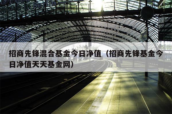招商先锋混合基金今日净值（招商先锋基金今日净值天天基金网）