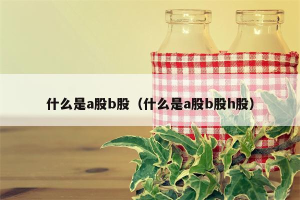 什么是a股b股（什么是a股b股h股）