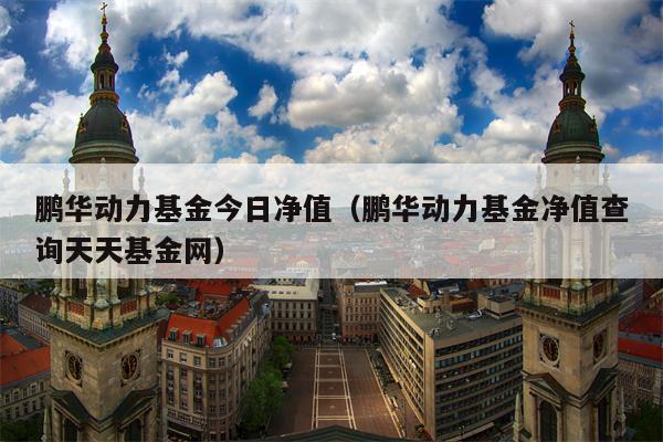 鹏华动力基金今日净值（鹏华动力基金净值查询天天基金网）