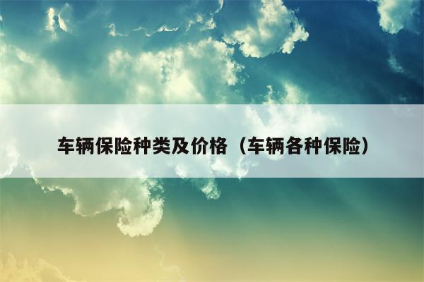 车辆保险种类及价格（车辆各种保险）