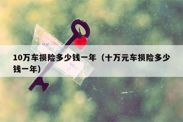 10万车损险多少钱一年（十万元车损险多少钱一年）