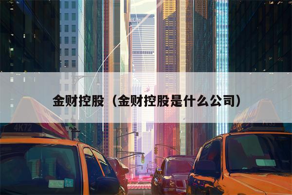 金财控股（金财控股是什么公司）