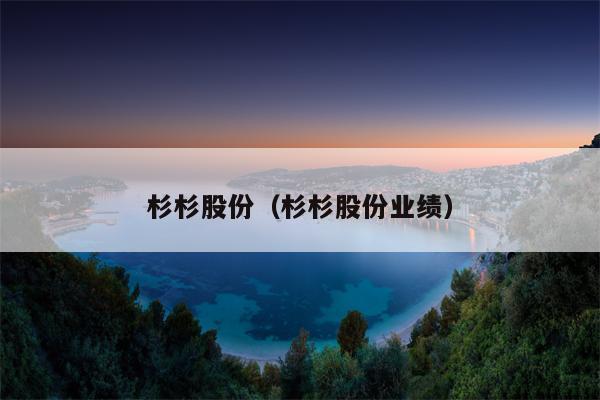杉杉股份（杉杉股份业绩）