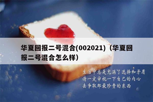 华夏回报二号混合(002021)（华夏回报二号混合怎么样）