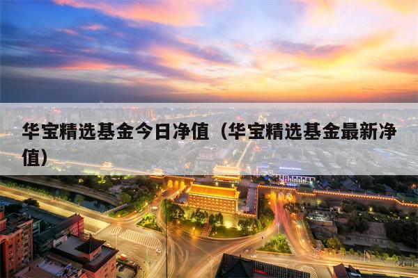 华宝精选基金今日净值（华宝精选基金最新净值）