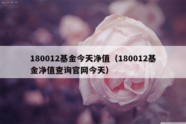 180012基金今天净值（180012基金净值查询官网今天）