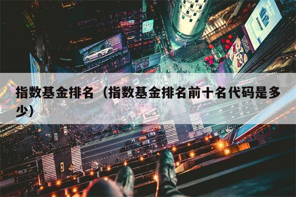 指数基金排名（指数基金排名前十名代码是多少）