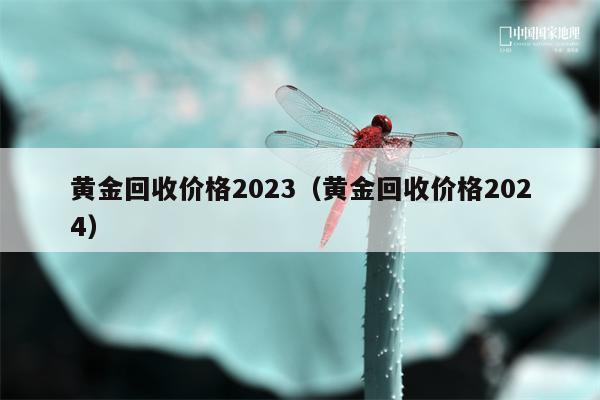 黄金回收价格2023（黄金回收价格2024）